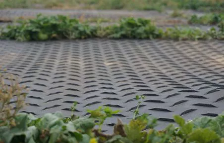 Working Platforms and Living Flooring