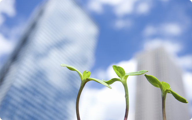 Safety and environmental protection